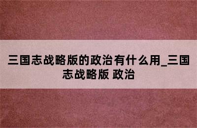 三国志战略版的政治有什么用_三国志战略版 政治